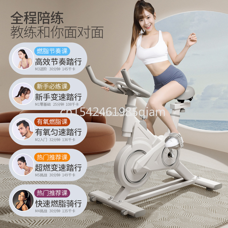 Indoor Upright Fitness Bike Du - Exercise Bike Magnetic Resistance ulasan dan harga